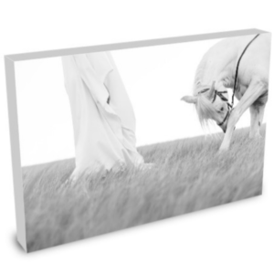 Jesus Is Lord | Wrapped Canvas Print