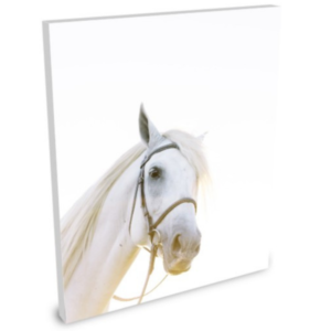 Revelation 19 | Wrapped Canvas Print